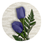 DAROUND 055 2 Roses Purple